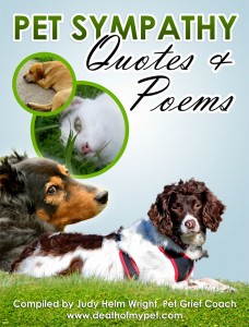 Pet Sympathy Quotes and Poems, cats and dogs, dogs and cats, which is better dogs or cats,